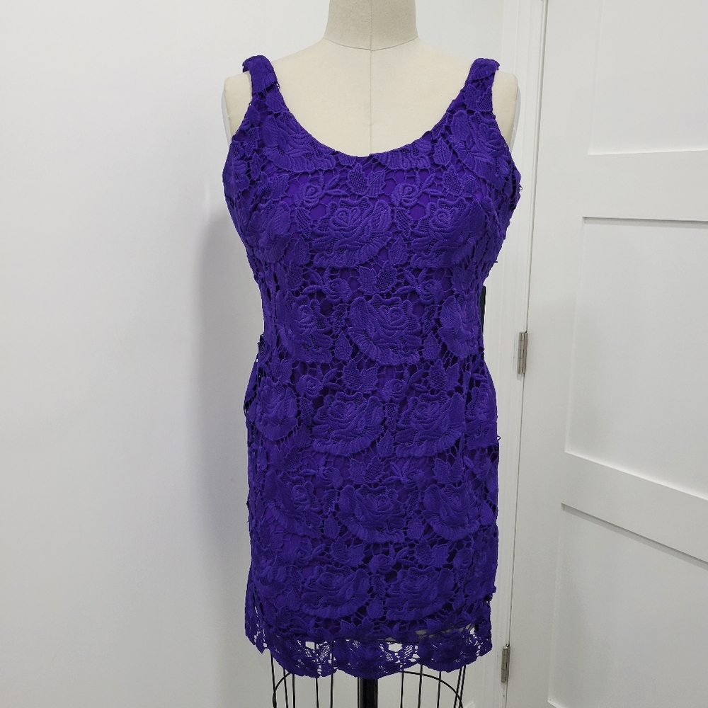Lauren Ralph Lauren Women's Summer Hydrangea Lace Formal Dress Size 2P